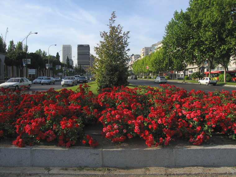Foto de Madrid (Comunidad de Madrid), España