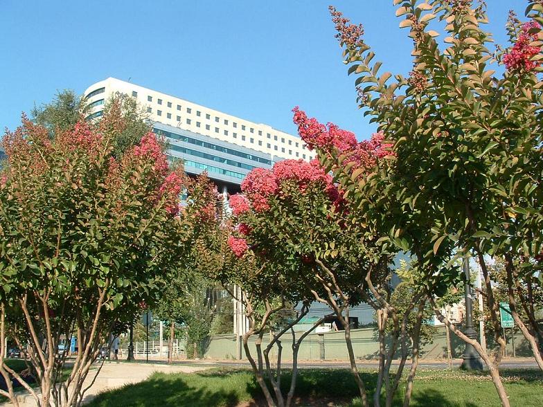 Foto de Santiago., Chile