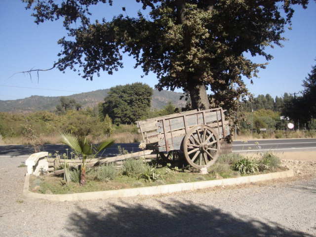 Foto de QUILPUE, Chile