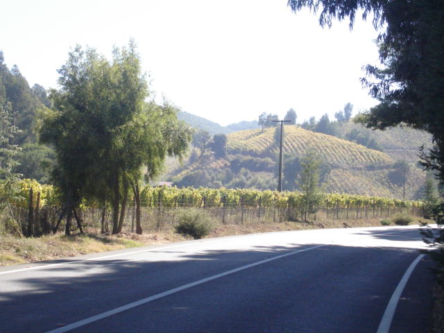 Foto de CASA BLANCA, Chile