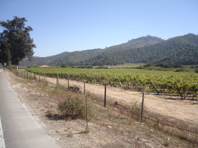 Foto de CASA BLANCA, Chile