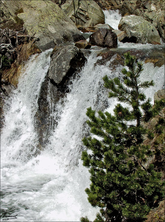 Foto de Bielsa (Huesca), España