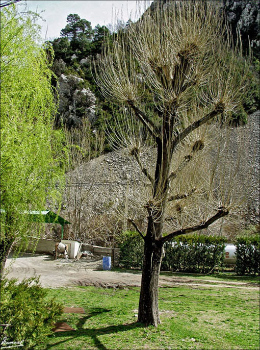 Foto de Salinas (Huesca), España