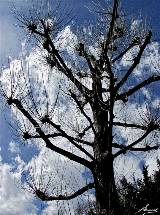 Foto de Salinas (Huesca), España