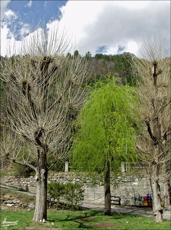 Foto de Salinas (Huesca), España