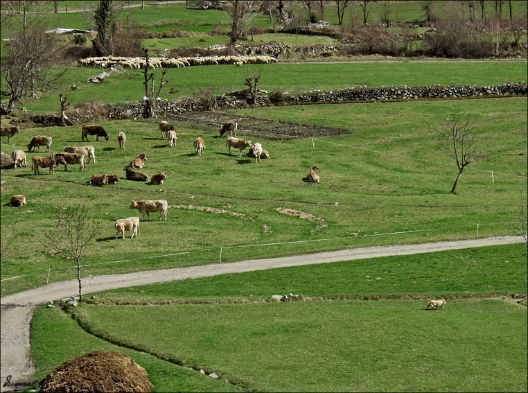 Foto de San Juan de Plan (Huesca), España