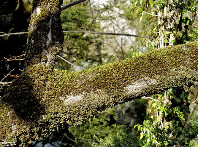Foto de San Juan de Plan (Huesca), España