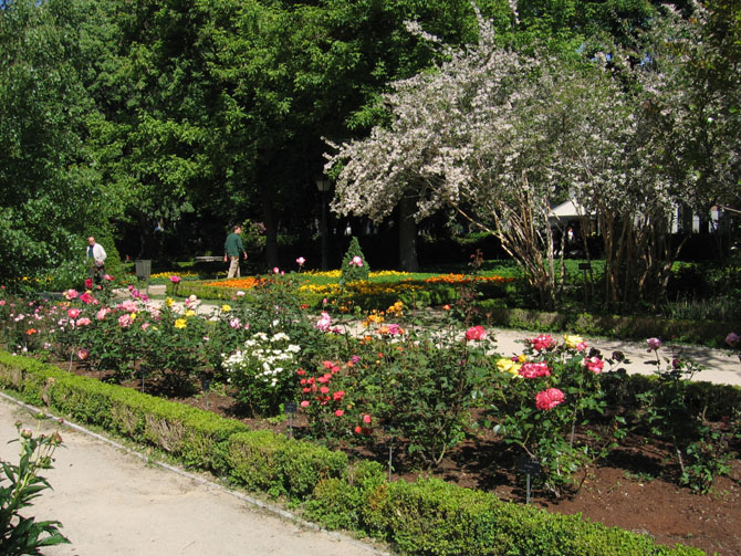 Foto de Madrid (Comunidad de Madrid), España