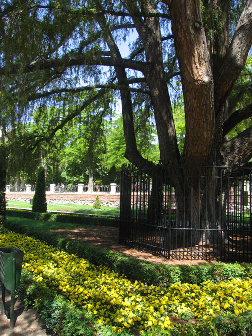 Foto de Madrid (Comunidad de Madrid), España