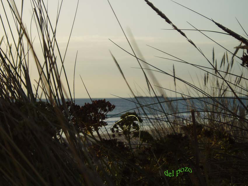 Foto de Chiclana de la Frontera (Cádiz), España