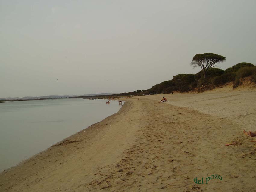 Foto de Puerto Real (Cádiz), España