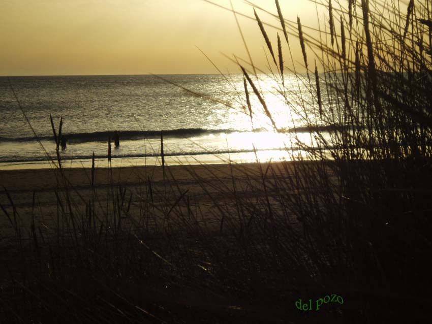 Foto de Chiclana de la Frontera (Cádiz), España