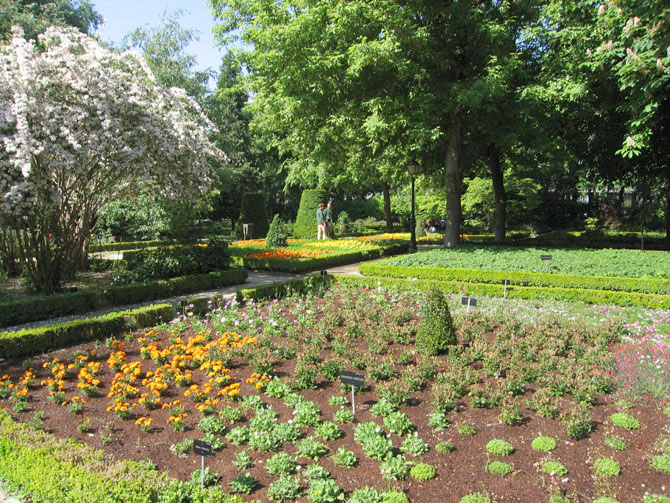 Foto de Madrid (Comunidad de Madrid), España