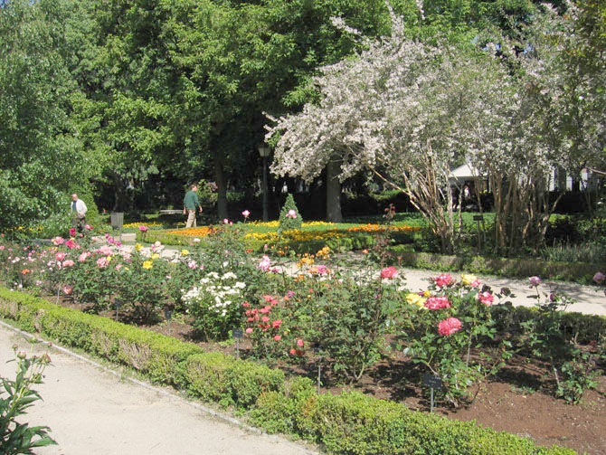 Foto de Madrid (Comunidad de Madrid), España