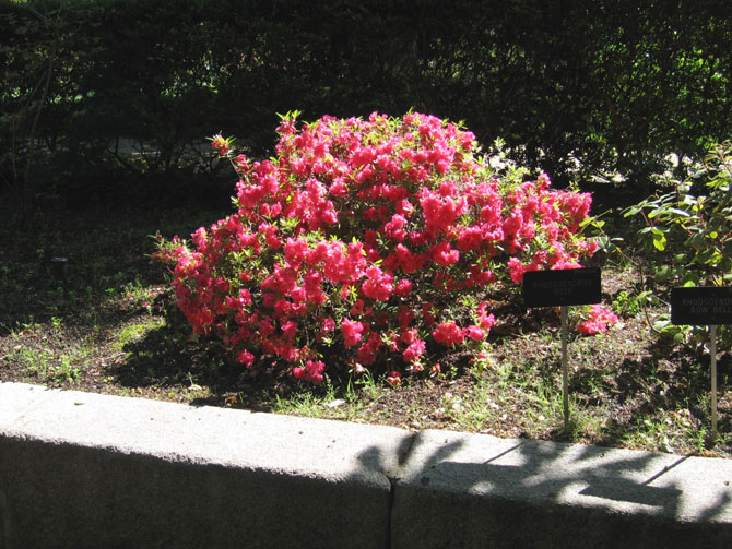 Foto de Madrid (Comunidad de Madrid), España