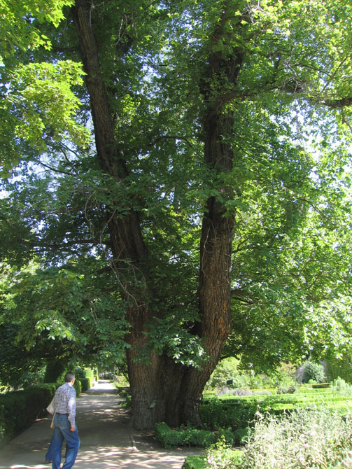 Foto de Madrid (Comunidad de Madrid), España