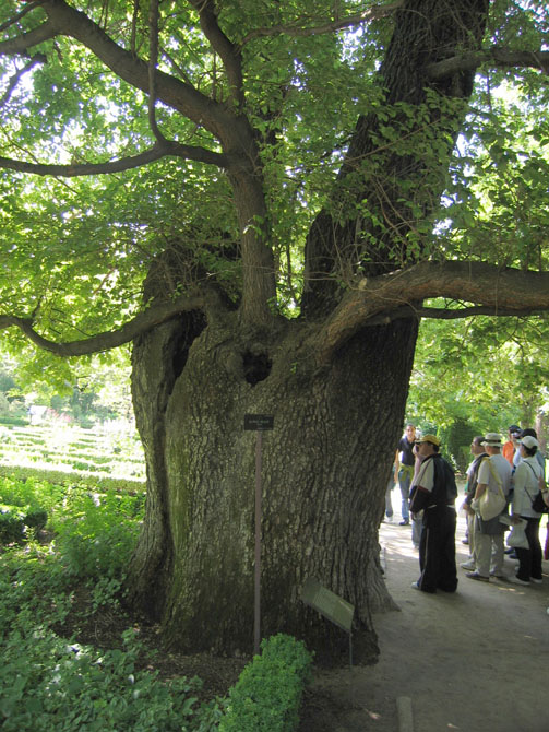 Foto de Madrid (Comunidad de Madrid), España