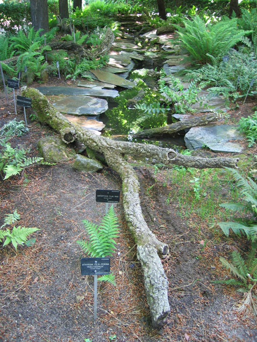 Foto de Madrid (Comunidad de Madrid), España