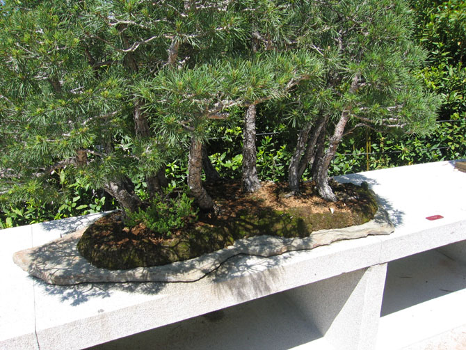 Foto de Madrid (Comunidad de Madrid), España