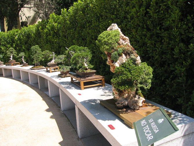 Foto de Madrid (Comunidad de Madrid), España