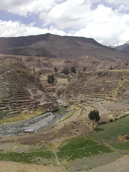 Foto de Cañón del Colca, Perú
