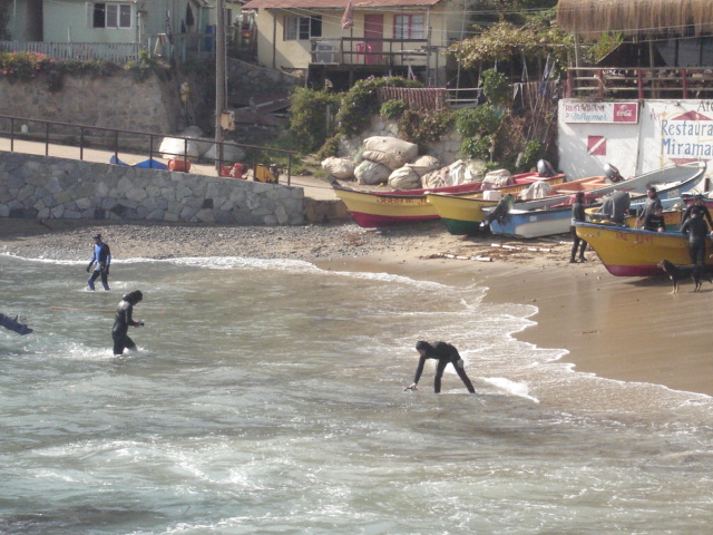 Foto de QUINTAY, Chile