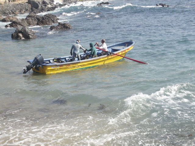 Foto de QUINTAY, Chile