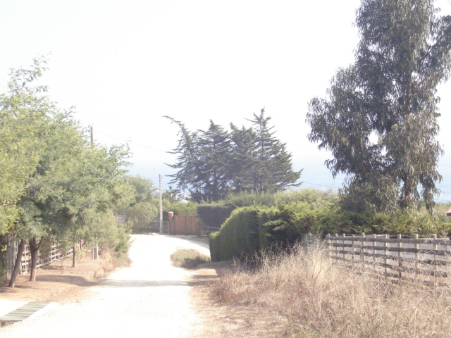 Foto de QUINTAY, Chile