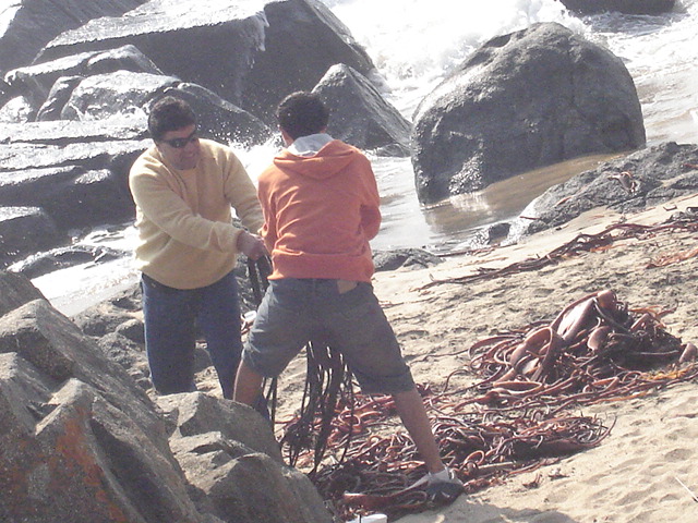Foto de QUINTAY, Chile