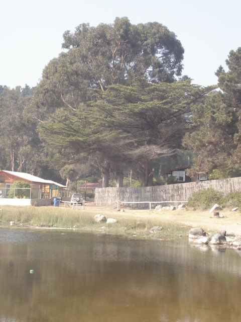 Foto de QUINTAY, Chile