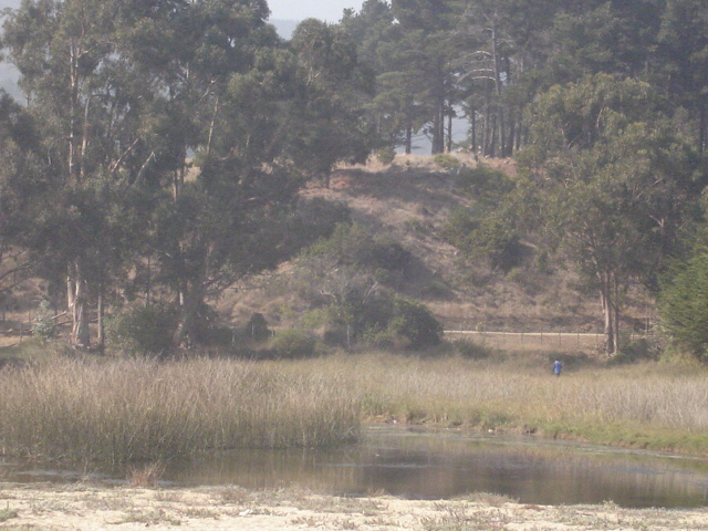 Foto de QUINTAY, Chile