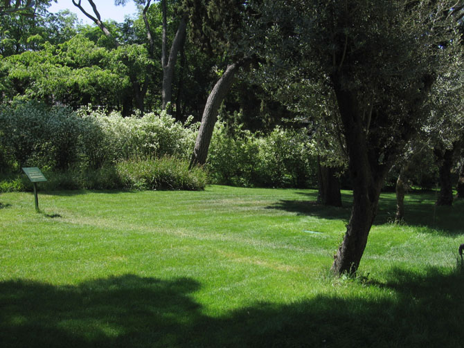 Foto de Madrid (Comunidad de Madrid), España