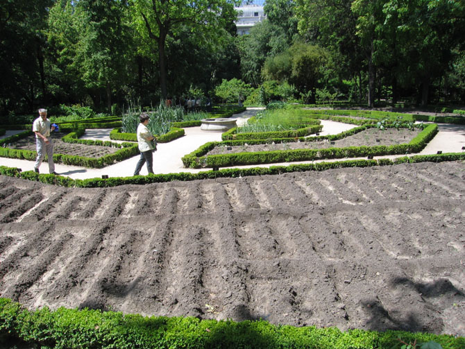 Foto de Madrid (Comunidad de Madrid), España