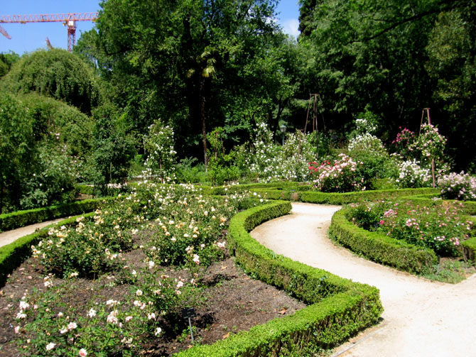 Foto de Madrid (Comunidad de Madrid), España