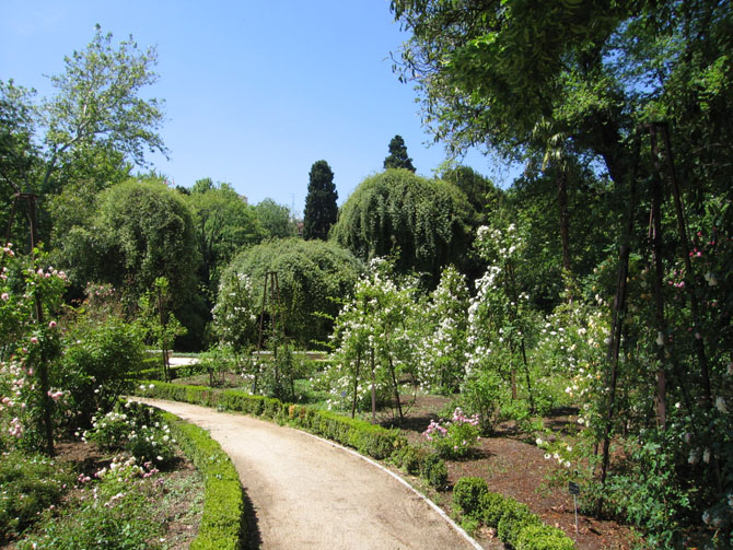 Foto de Madrid (Comunidad de Madrid), España