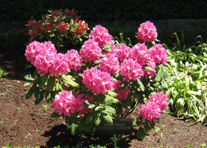 Foto de Madrid (Comunidad de Madrid), España