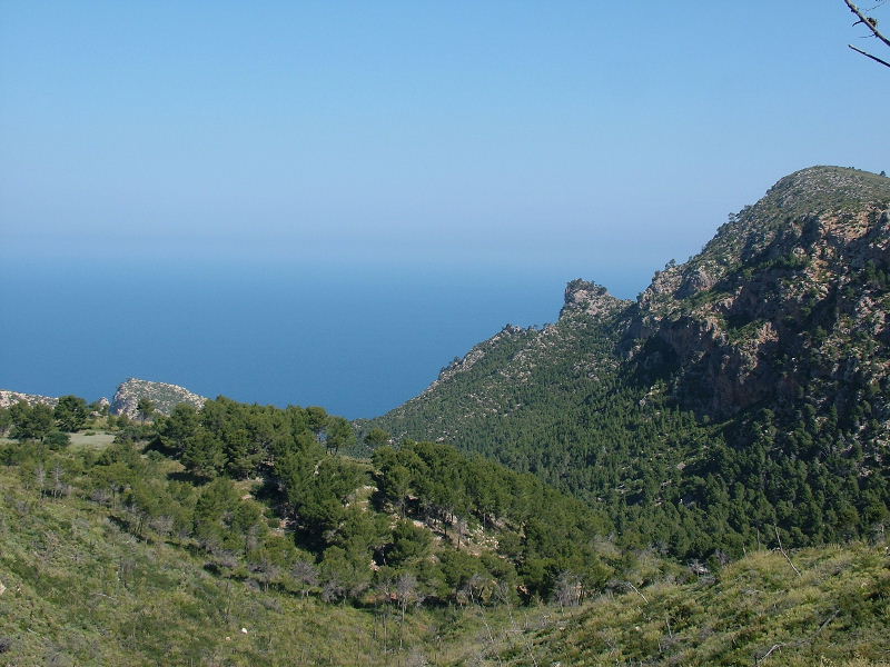 Foto de Mallorca (Illes Balears), España
