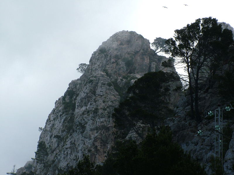 Foto de Mallorca (Illes Balears), España
