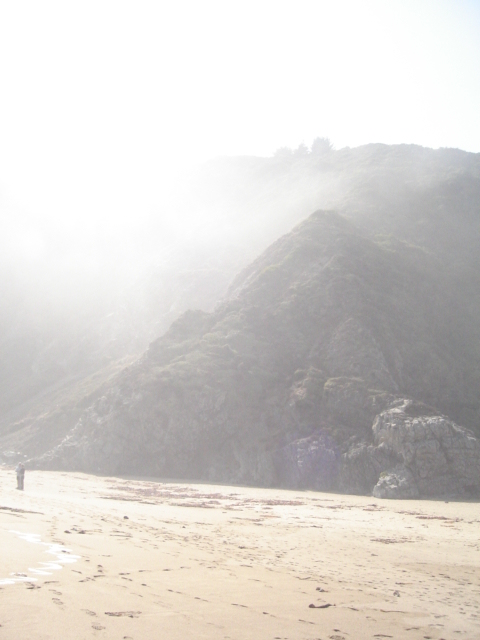 Foto de QUINTAY, Chile