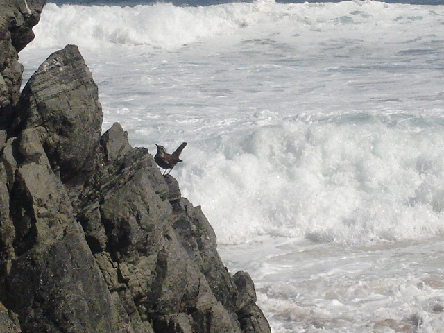 Foto de QUINTAY, Chile