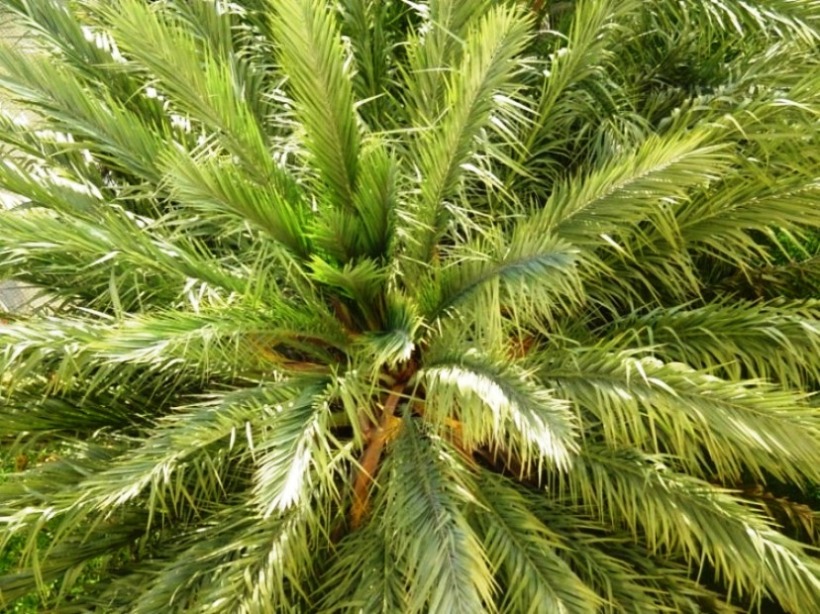 Foto de Praia da Rocha, Portugal