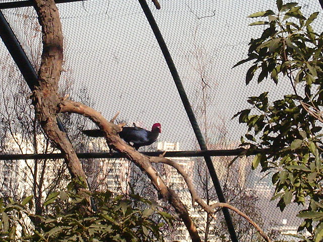 Foto de SANTIAGO, Chile