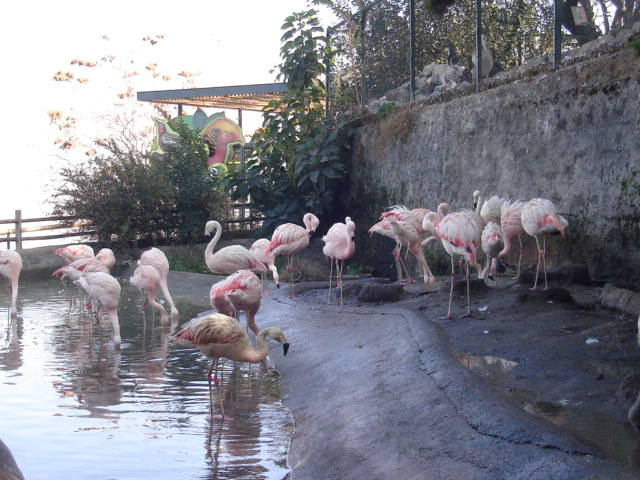 Foto de SANTIAGO, Chile