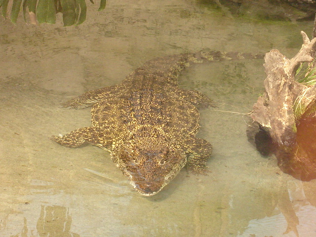 Foto de SANTIAGO, Chile