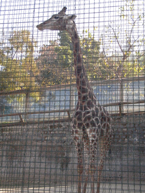 Foto de SANTIAGO, Chile