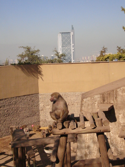 Foto de SANTIAGO, Chile