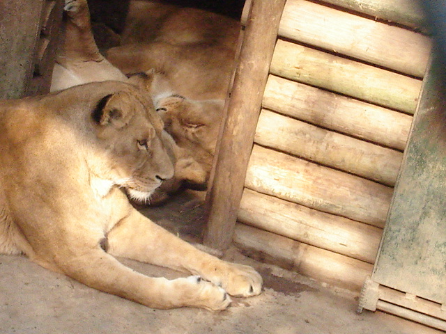 Foto de SANTIAGO, Chile