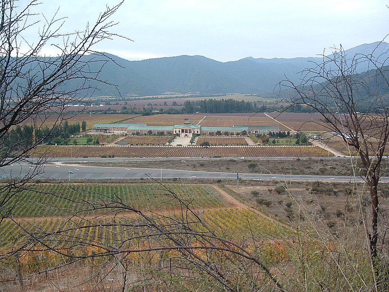 Foto de Casablanca, Chile