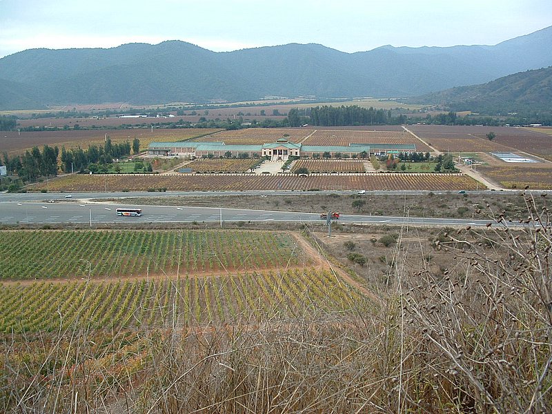 Foto de Casablanca, Chile