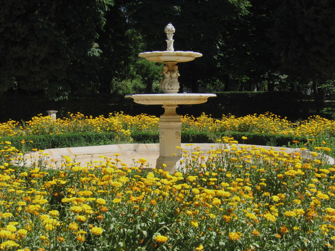 Foto de Madrid (Comunidad de Madrid), España